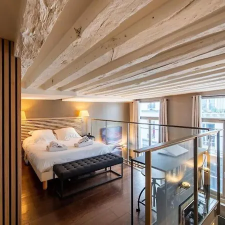 1er - Magnifique Duplex Apartment Paris